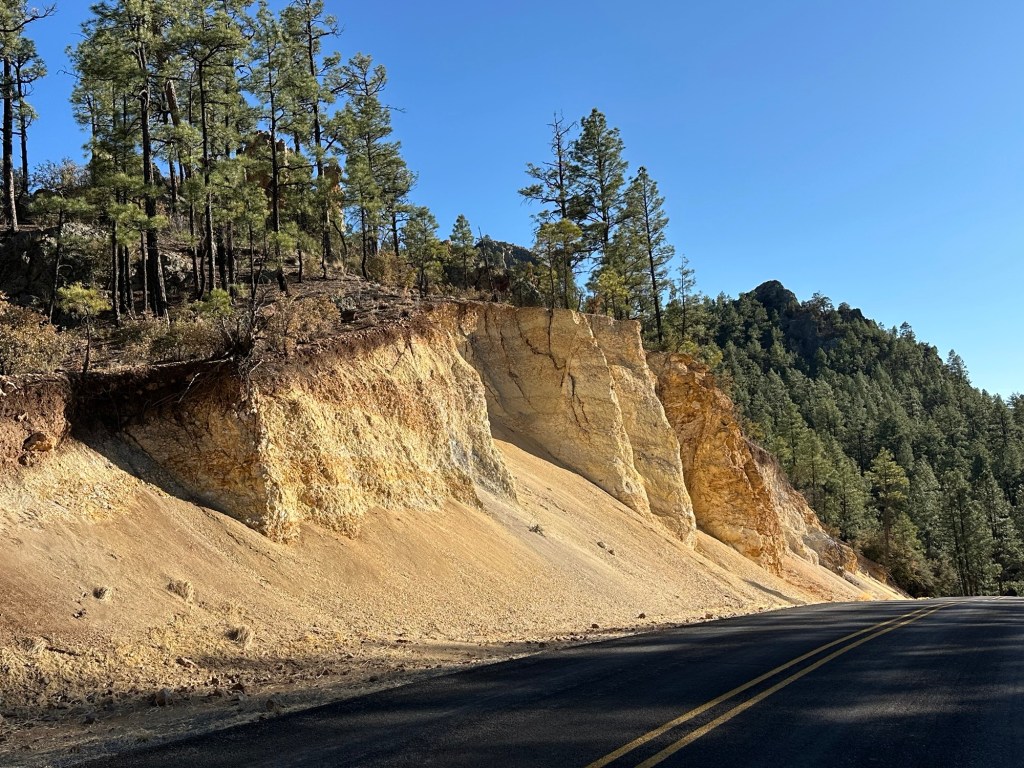 Gila National Forest in New Mexico. Picture by Happy Vegan Campers.