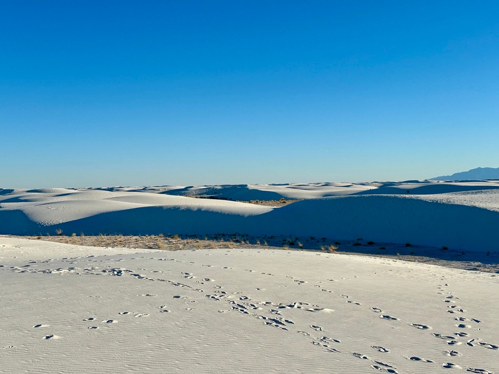 White Sands National Monument in Tularosa, New Mexico. Picture by Happy Vegan Campers.