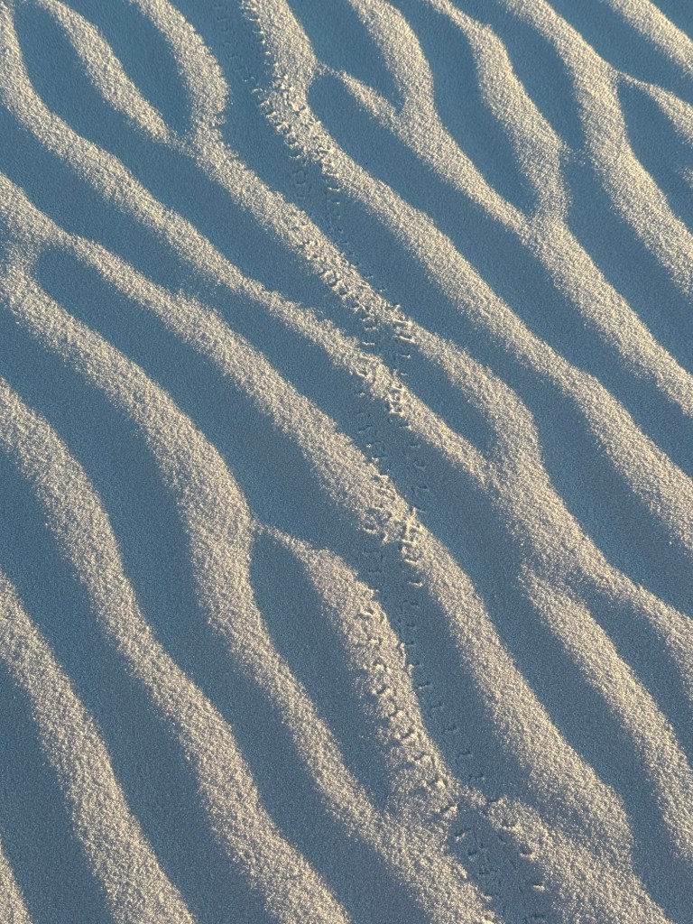 White Sands National Monument in Tularosa, New Mexico. Picture by Happy Vegan Campers.