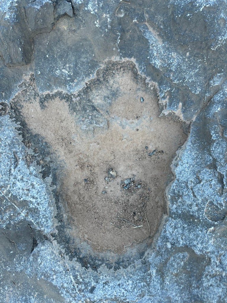 Prehistoric Trackways National Monument in Las Cruces, New Mexico. Picture by Happy Vegan Campers.