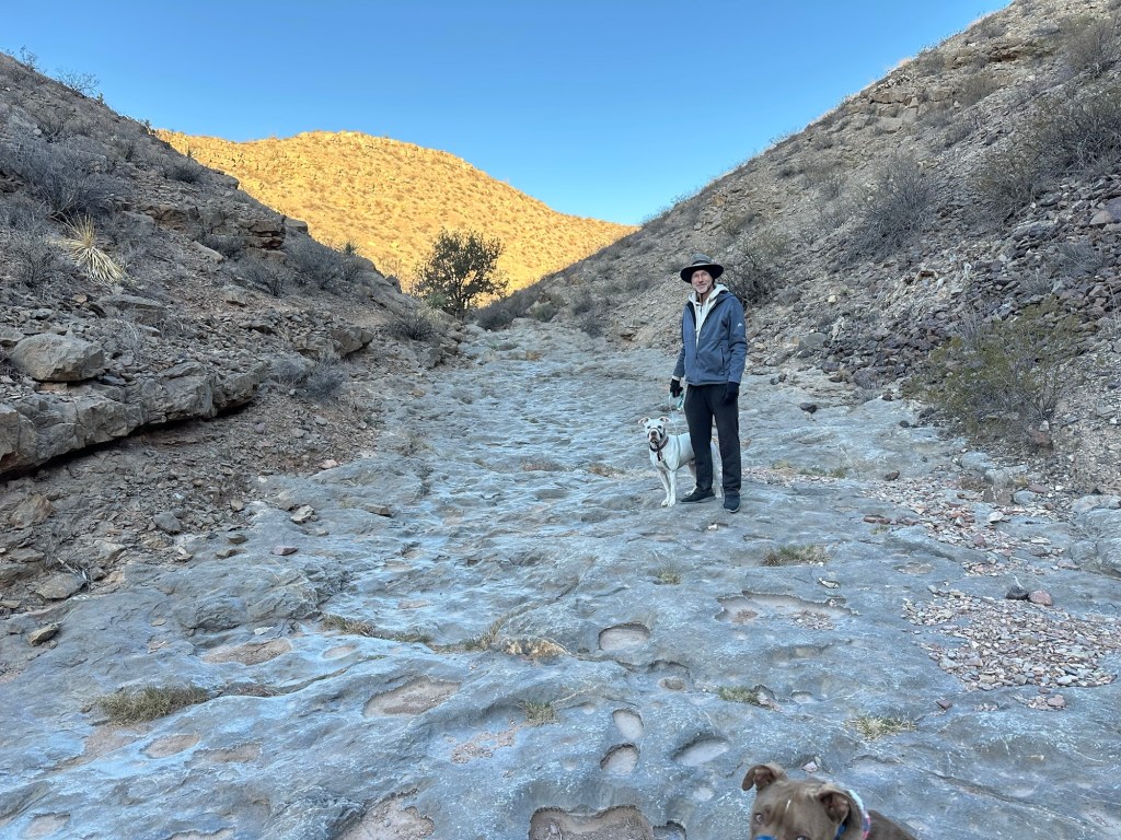 Daniel and Peter at Prehistoric Trackways National Monument in Las Cruces, New Mexico. Picture by Happy Vegan Campers.