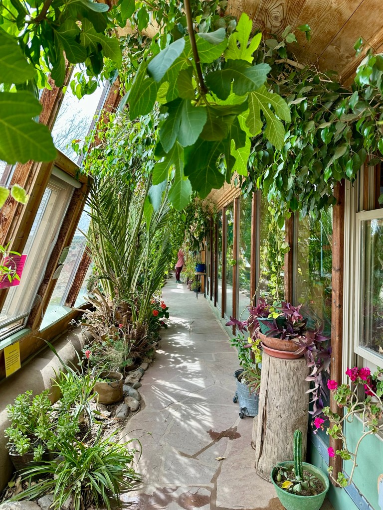 Inside an Earthship at the Great World Community in Taos, New Mexico. Picture by Happy Vegan Campers.