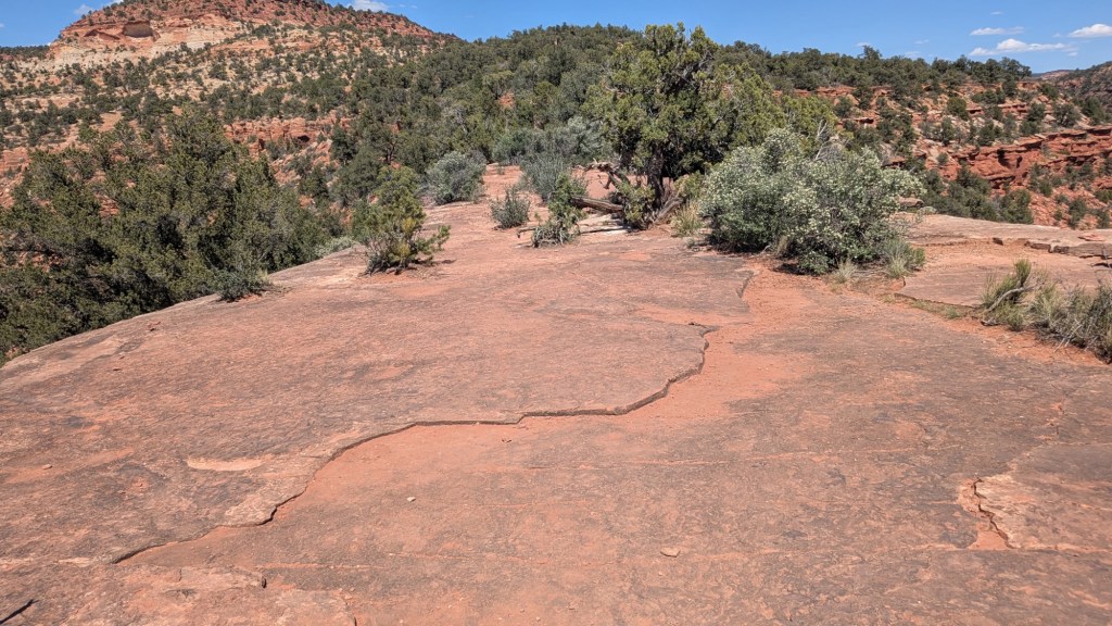Kanab Dinosaur Tracks in Kanab, Utah. Picture by Happy Vegan Campers.