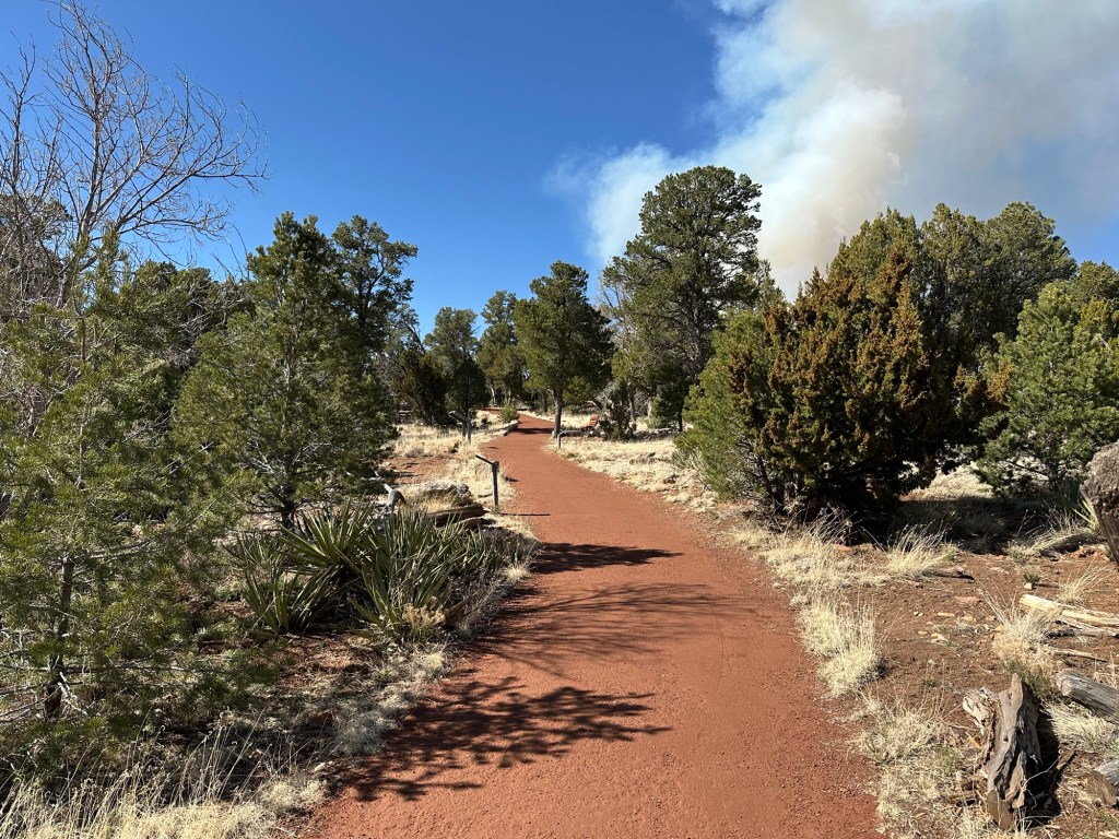 Walnut Canyon National Monument in Flagstaff, Arizona. Picture by Happy Vegan Campers.