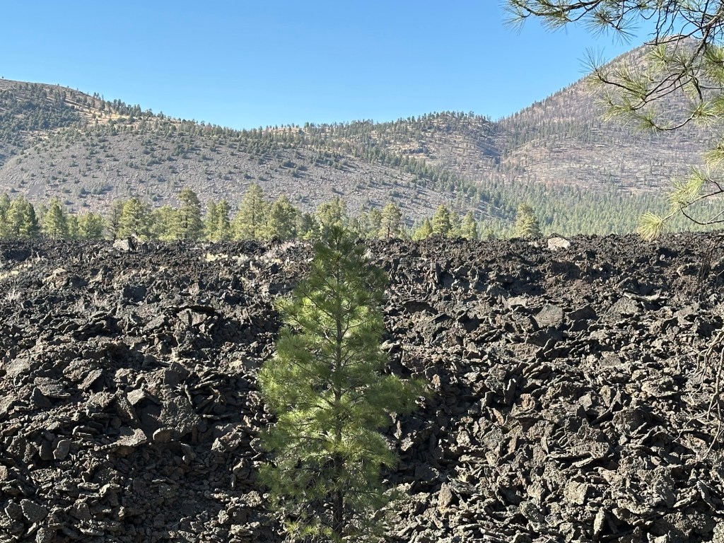 Sunset Crater Volcano National Monument in Flagstaff, Arizona. Picture by Happy Vegan Campers.