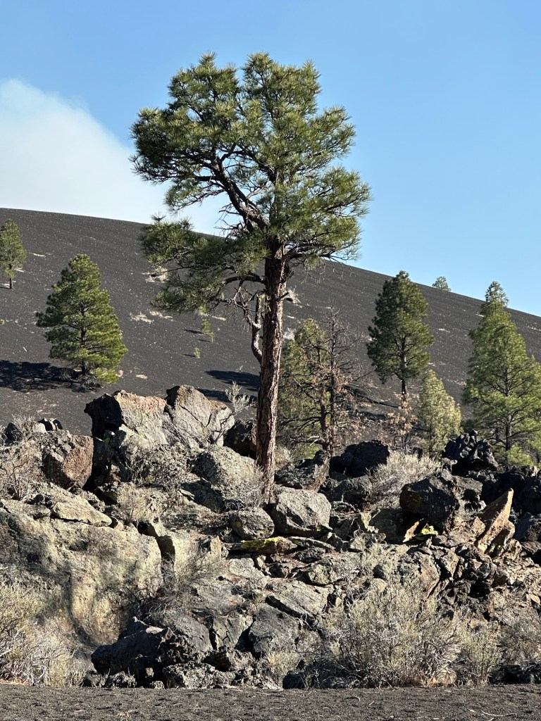 Sunset Crater Volcano National Monument in Flagstaff, Arizona. Picture by Happy Vegan Campers.