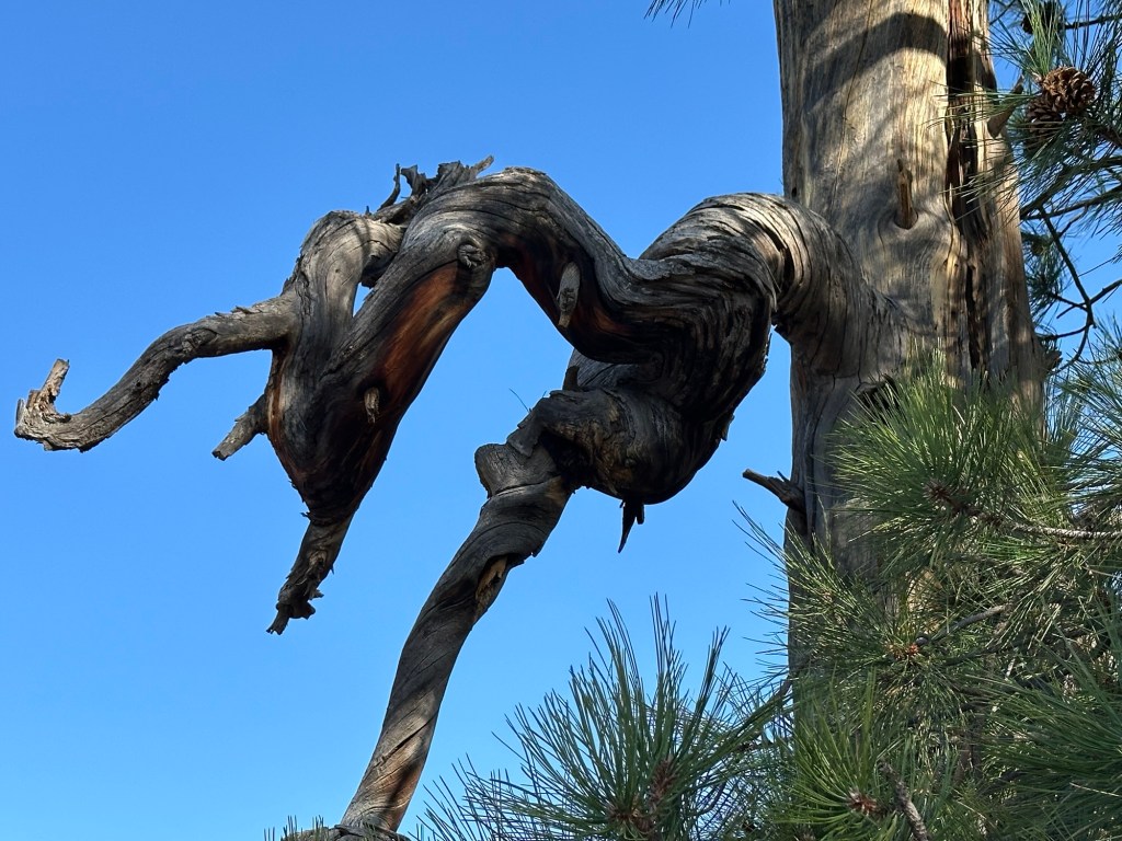 Sunset Crater Volcano National Monument in Flagstaff, Arizona. Picture by Happy Vegan Campers.