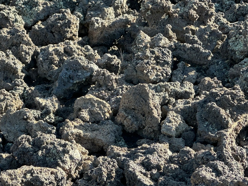 Sunset Crater Volcano National Monument in Flagstaff, Arizona. Picture by Happy Vegan Campers.