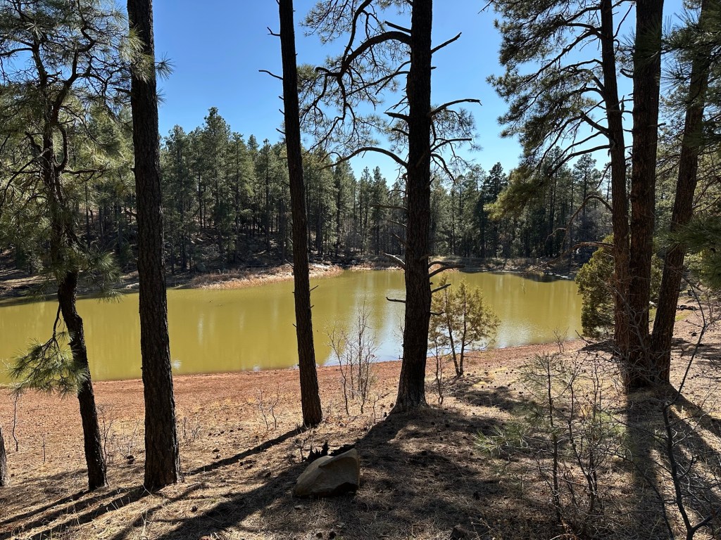 Small lake in Prescott National Forest near Mingus Hang Glider Launch in Jerome, Arizona. Picture by Happy Vegan Campers.