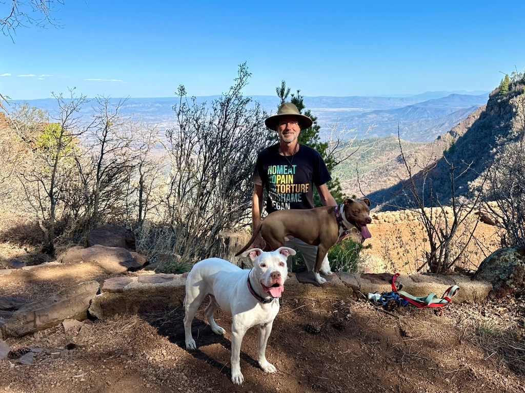 Daniel, Peter, and Marcel and view from Prescott National Forest near Mingus Hang Glider Launch in Jerome, Arizona. Picture by Happy Vegan Campers.