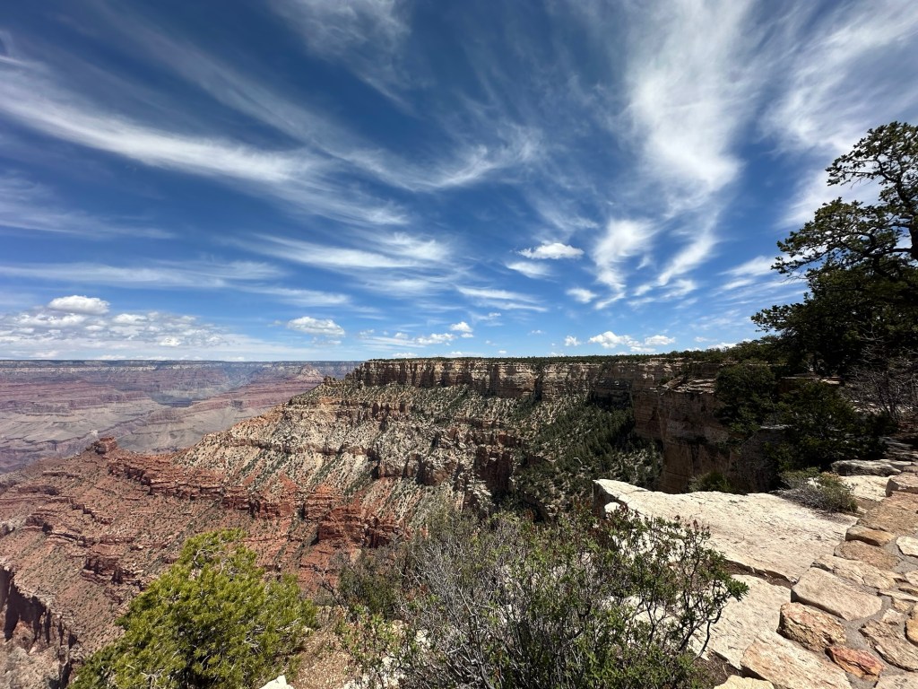 Grand Canyon South Rim in Grand Canyon Village, Arizona. Picture by Happy Vegan Campers.
