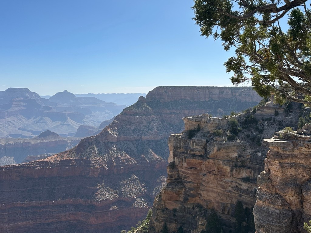 Grand Canyon South Rim in Grand Canyon Village, Arizona. Picture by Happy Vegan Campers.