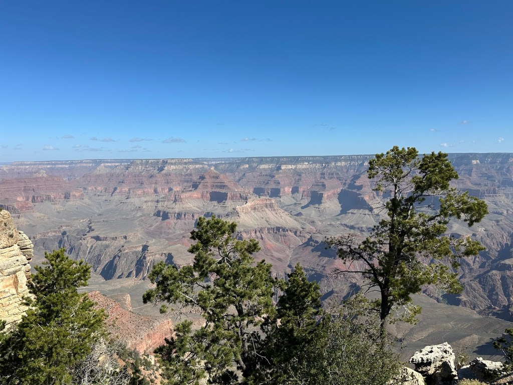 Grand Canyon South Rim in Grand Canyon Village, Arizona. Picture by Happy Vegan Campers.