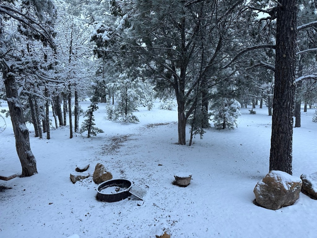 Snow on April 18, 2025 in Grand Canyon Village, Arizona. Picture by Happy Vegan Campers.