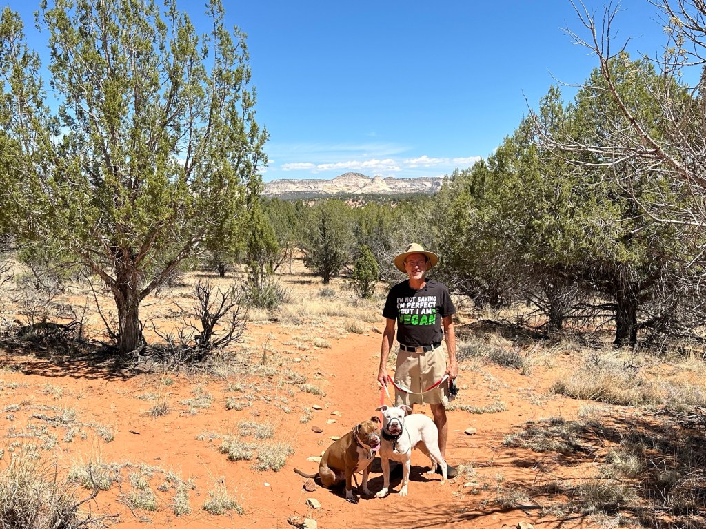 Daniel, Peter, and Marcel at Best Friends Animal Sanctuary in Kanab, Utah. Picture by Happy Vegan Campers.