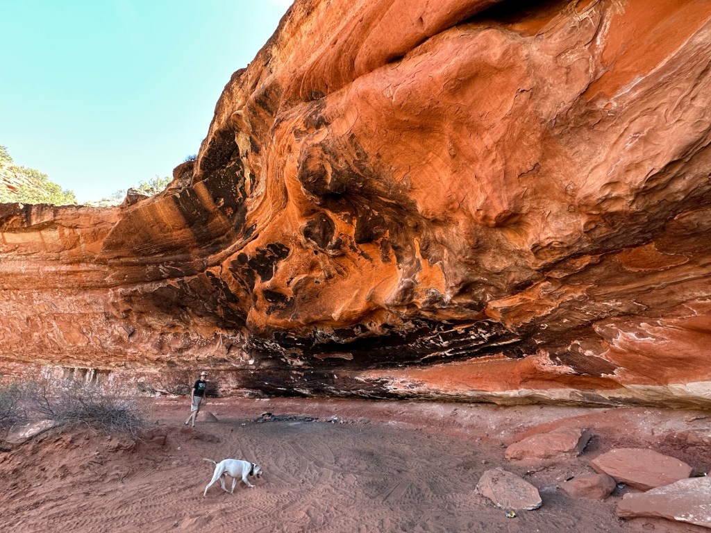 Daniel and Peter on BLM land in Kanab, Utah. Picture by Happy Vegan Campers.