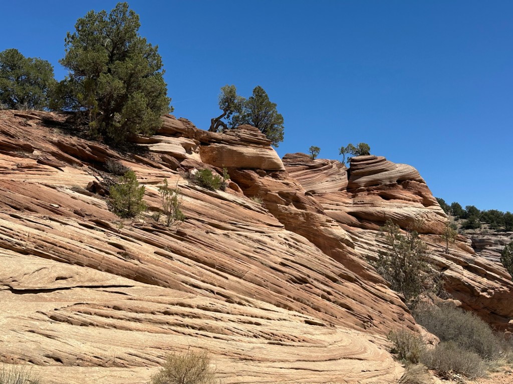 Rock formations at Best Friends Animal Sanctuary in Kanab, Utah. Picture by Happy Vegan Campers.