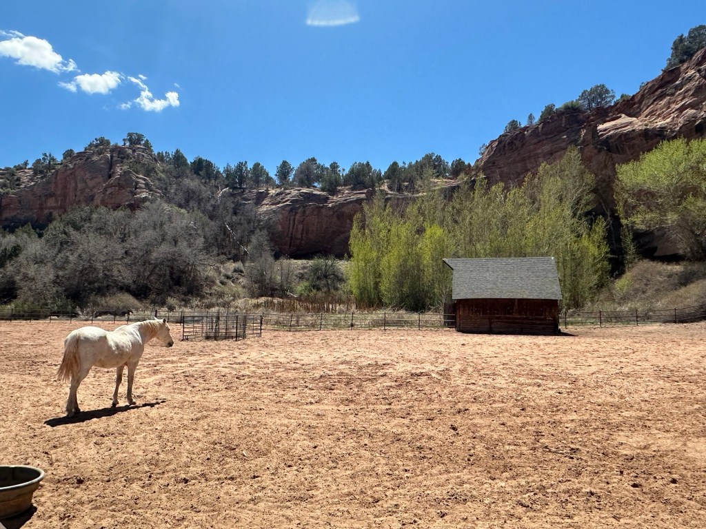 Horse and Disney barn at Best Friends Animal Sanctuary in Kanab, Utah. Picture by Happy Vegan Campers.