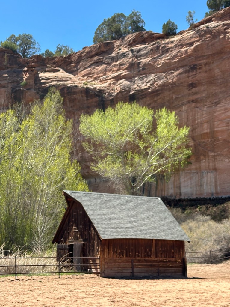 Disney barn at Best Friends Animal Sanctuary in Kanab, Utah. Picture by Happy Vegan Campers.