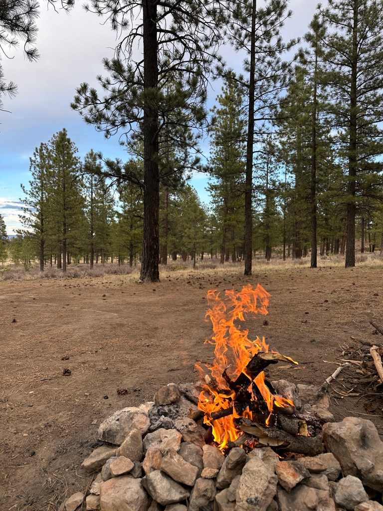 Campfire at Dave’s Hollow in Dixie National Forest. Picture by Happy Vegan Campers.