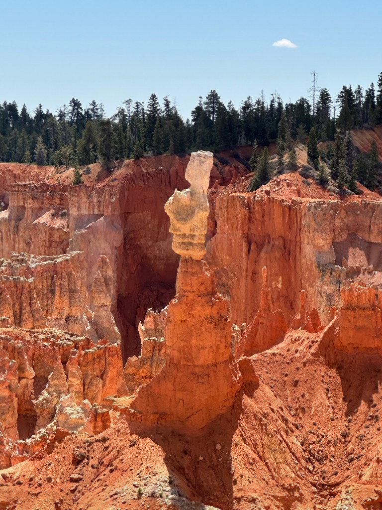 Bryce Canyon National Park in Bryce Canyon City, Utah. Picture by Happy Vegan Campers.