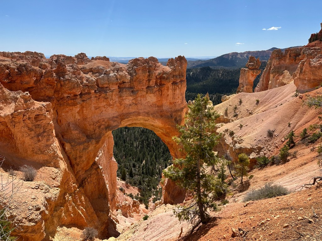 Bryce Canyon National Park in Bryce Canyon City, Utah. Picture by Happy Vegan Campers.