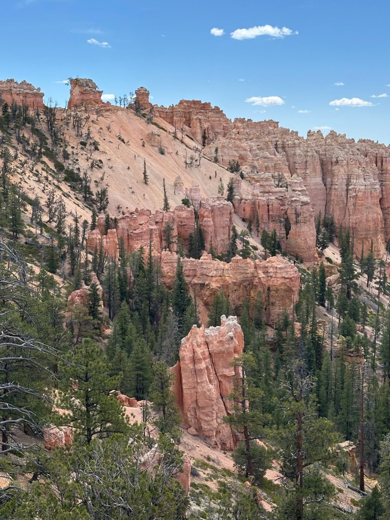 Bryce Canyon National Park in Bryce Canyon City, Utah. Picture by Happy Vegan Campers.
