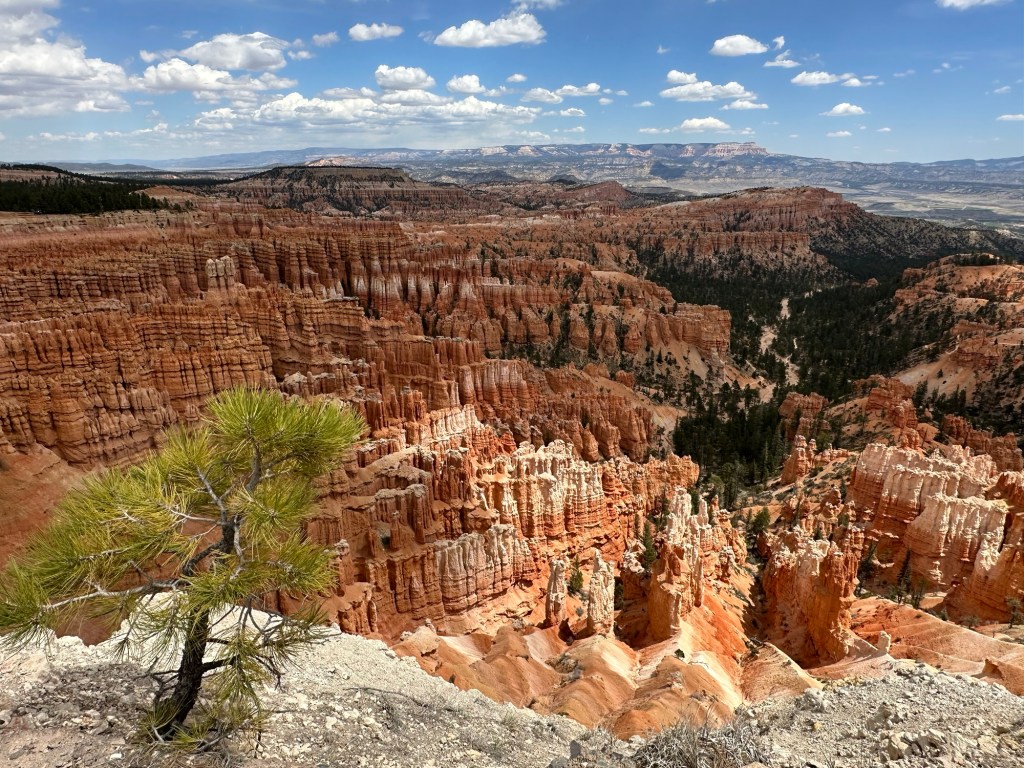 Bryce Canyon National Park in Bryce Canyon City, Utah. Picture by Happy Vegan Campers.