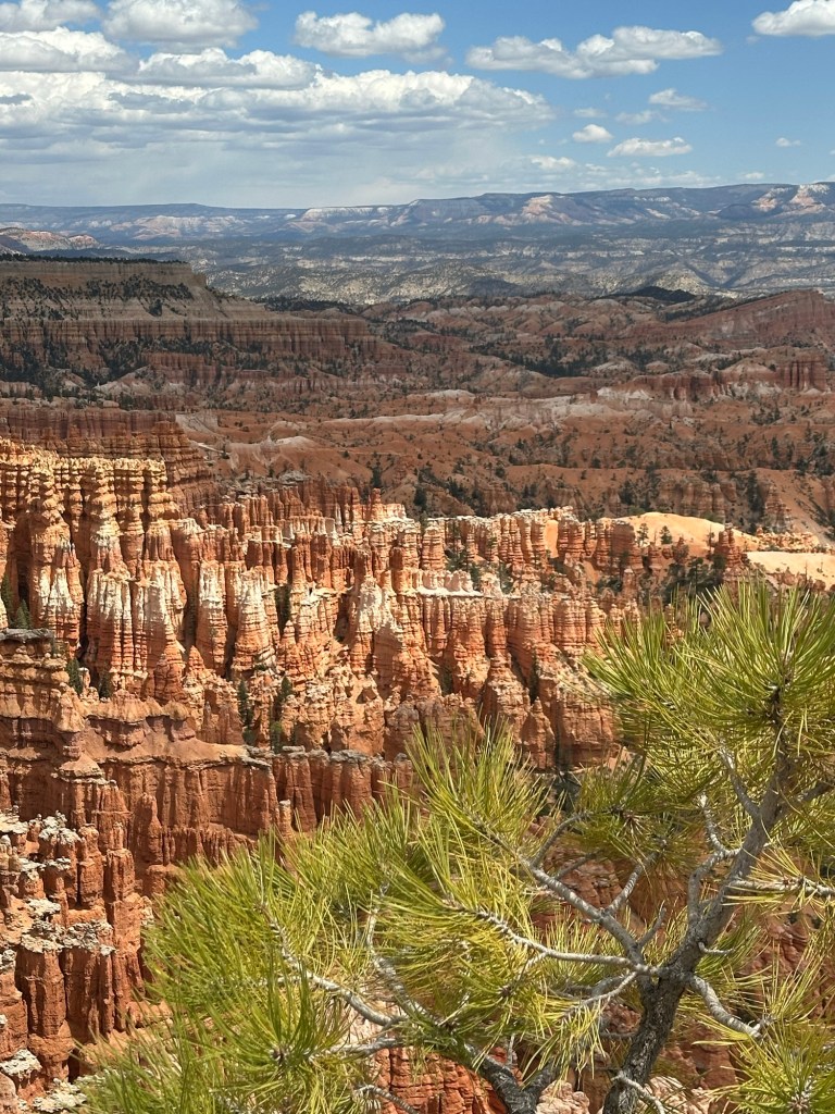 Bryce Canyon National Park in Bryce Canyon City, Utah. Picture by Happy Vegan Campers.