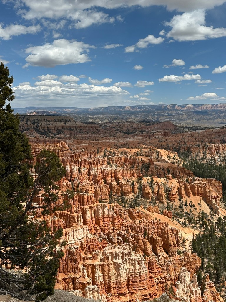 Bryce Canyon National Park in Bryce Canyon City, Utah. Picture by Happy Vegan Campers.