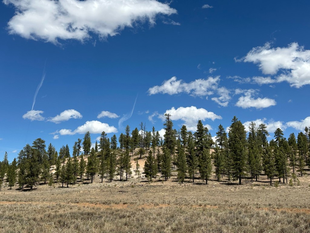 Dave’s Hollow at Dixie National Forest in Bryce Canyon City, Utah. Picture by Happy Vegan Campers.