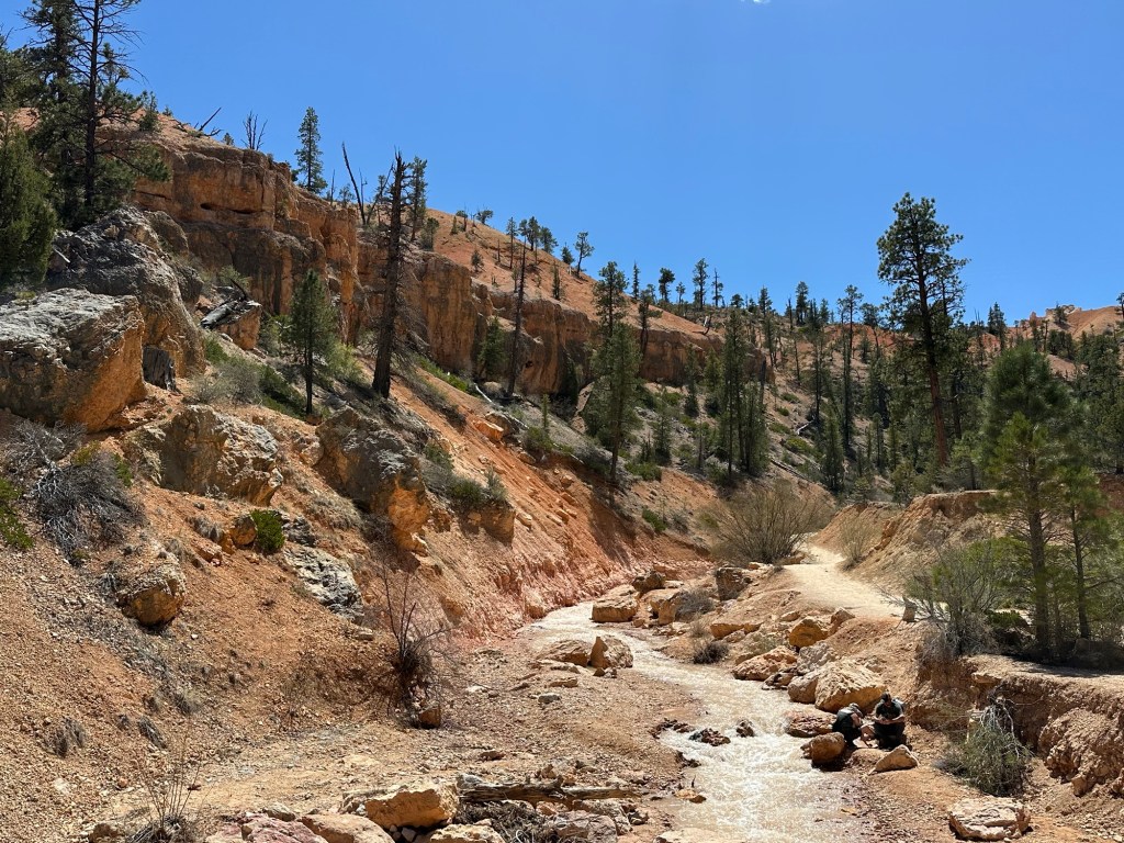 View from Mossy Cave Trail in Tropic, Utah. Picture by Happy Vegan Campers.