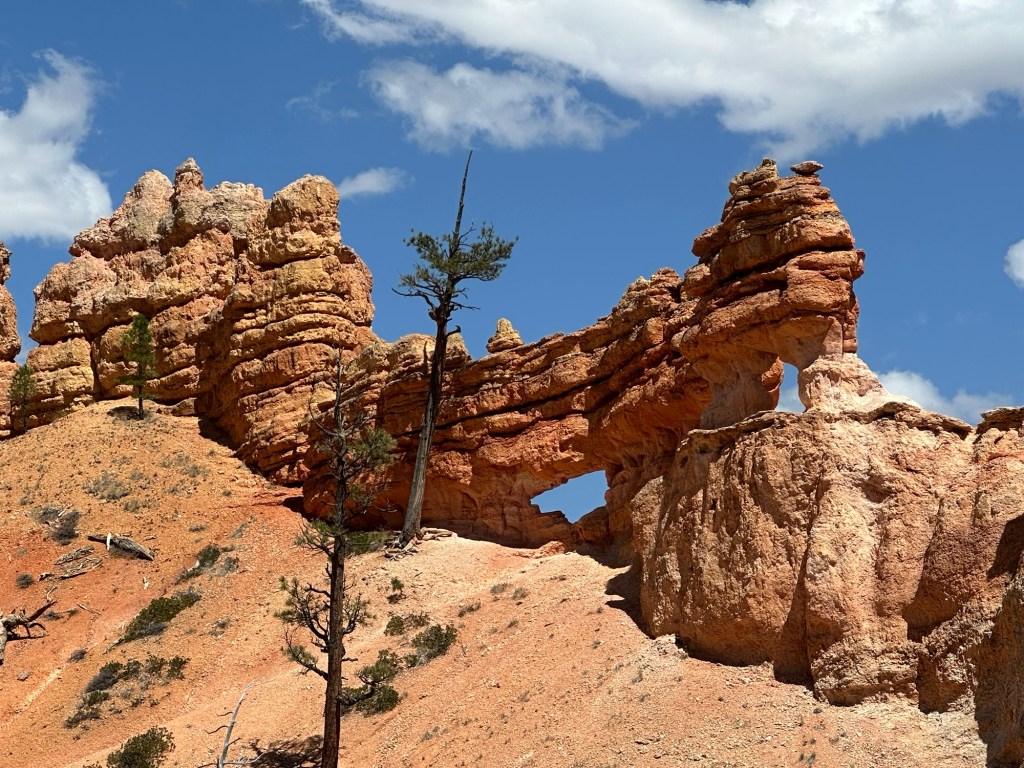View from Mossy Cave Trail in Tropic, Utah. Picture by Happy Vegan Campers.