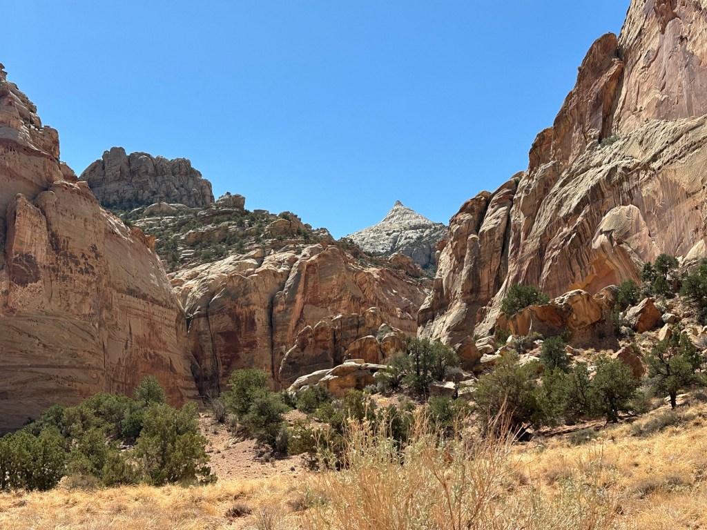 Capital Reef National Park in Torrey, Utah. Picture by Happy Vegan Campers.