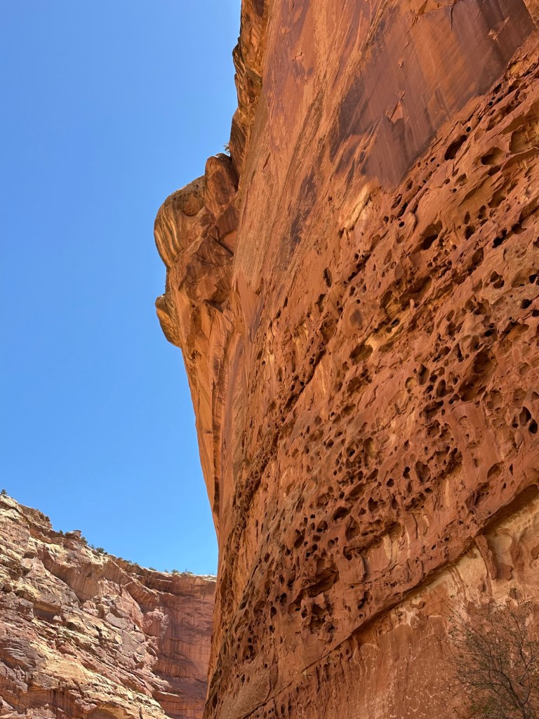 Capital Reef National Park in Torrey, Utah. Picture by Happy Vegan Campers.