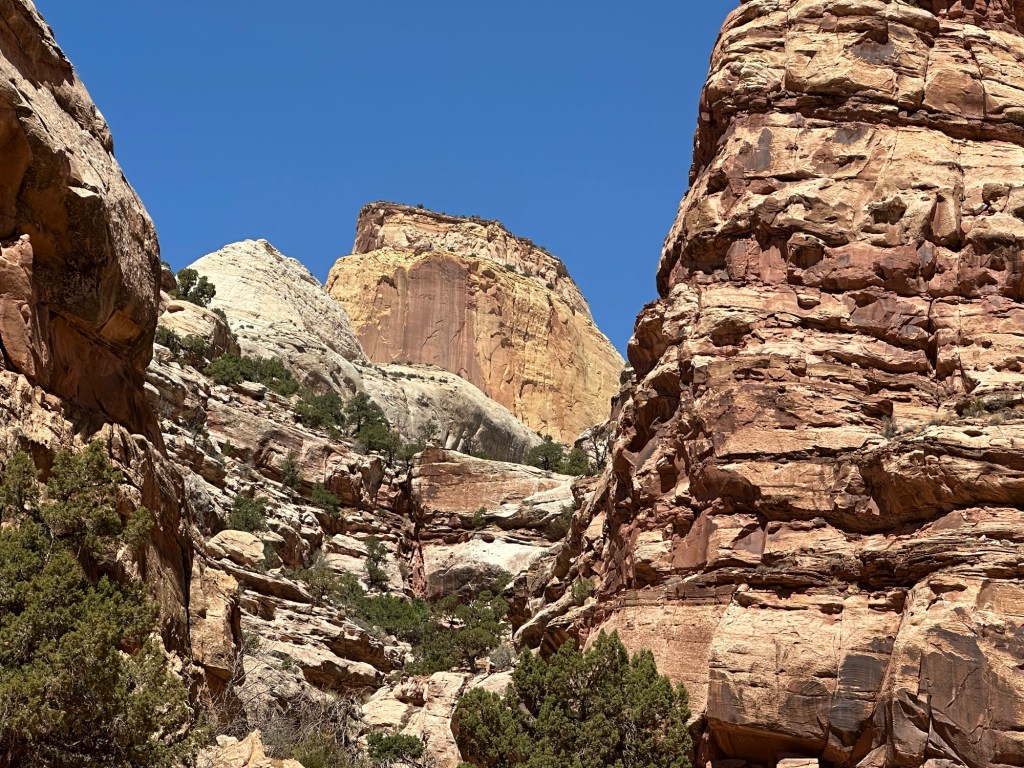 Capital Reef National Park in Torrey, Utah. Picture by Happy Vegan Campers.