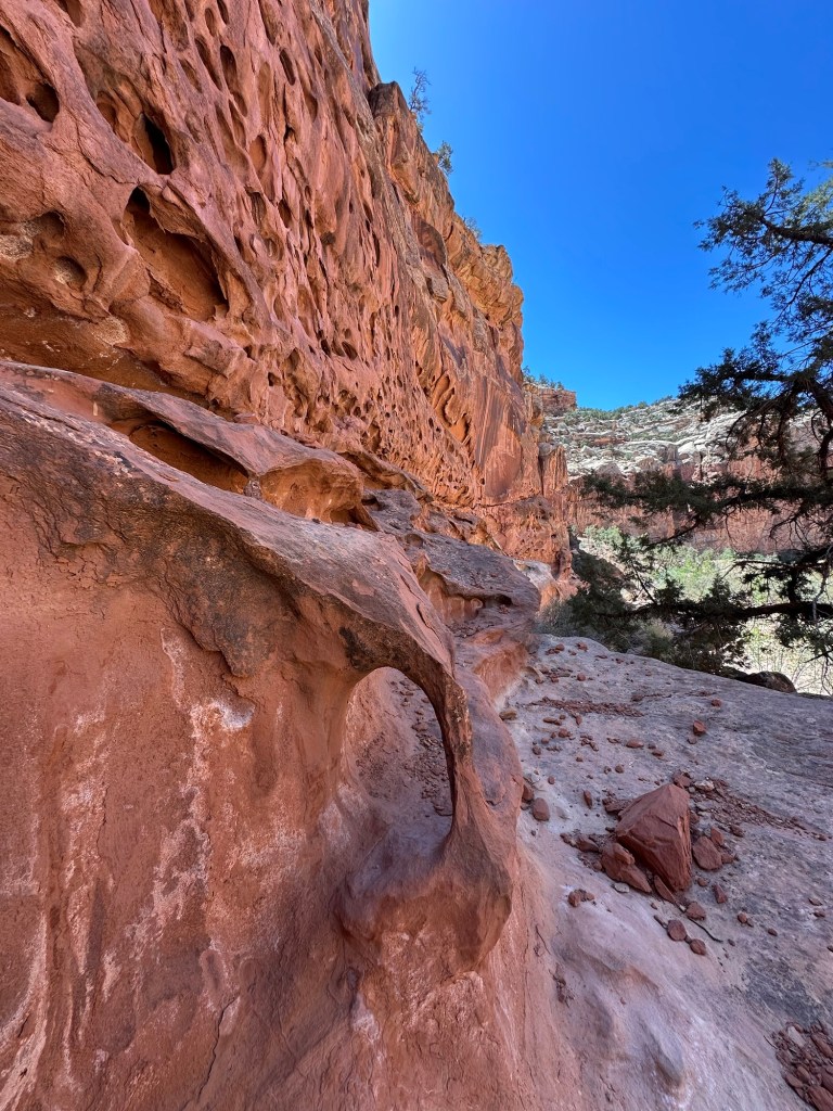 Capital Reef National Park in Torrey, Utah. Picture by Happy Vegan Campers.