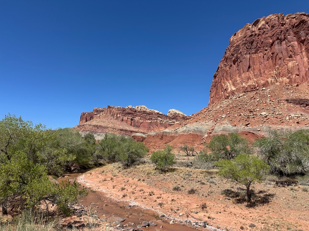 Capital Reef National Park in Torrey, Utah. Picture by Happy Vegan Campers.