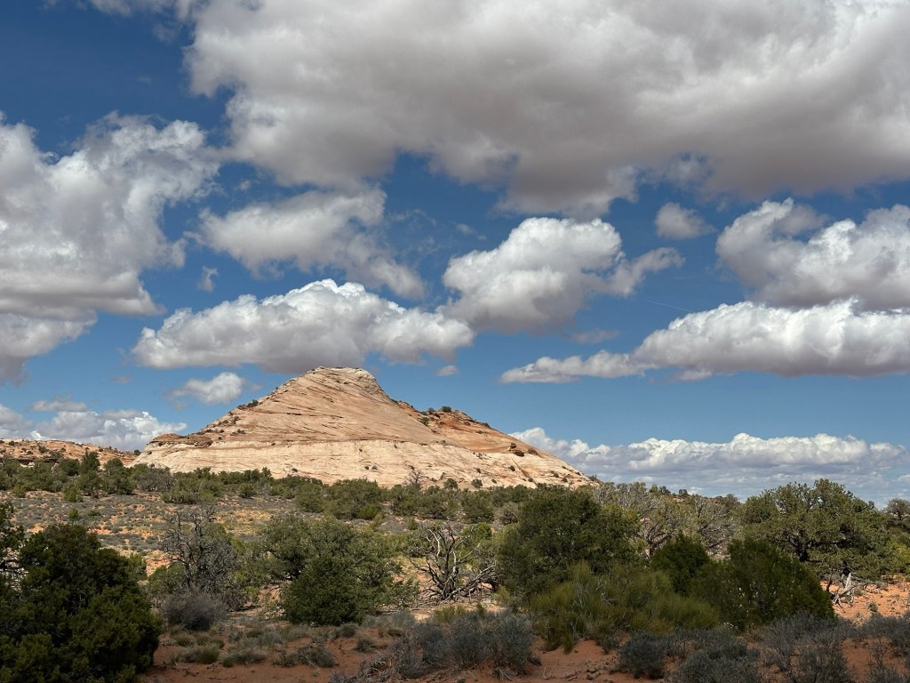 Canyonland National Park in Moab, Utah. Picture by Happy Vegan Campers.