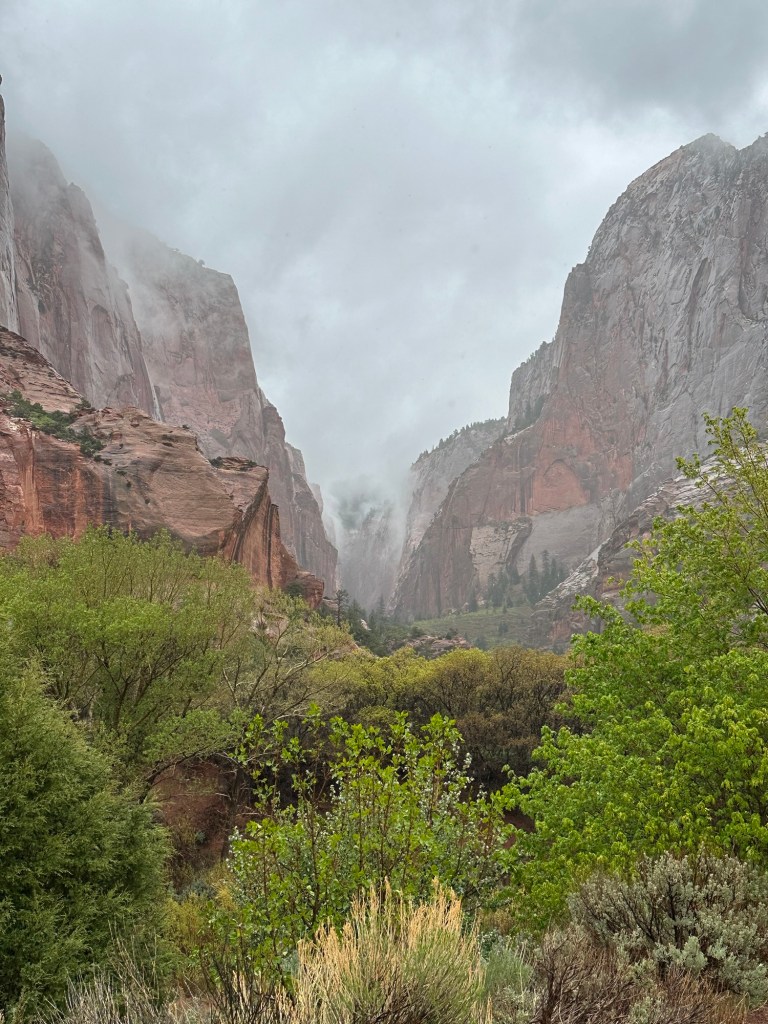 Zion National Park in New Harmony, Utah. Picture by Happy Vegan Campers.