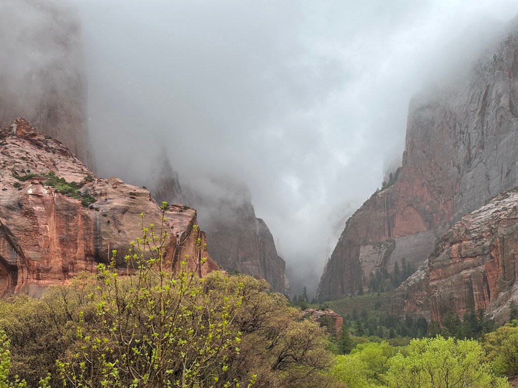 Zion National Park in New Harmony, Utah. Picture by Happy Vegan Campers.