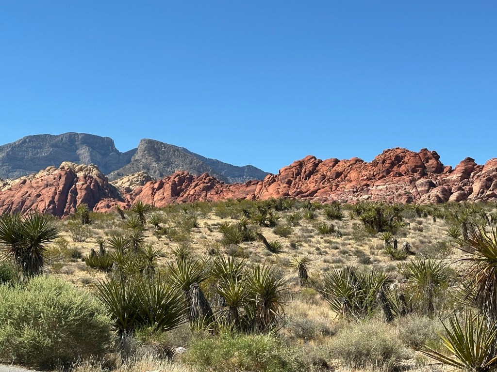 Red Rock Canyon National Conservation Area in Las Vegas, Nevada. Picture by Happy Vegan Campers.