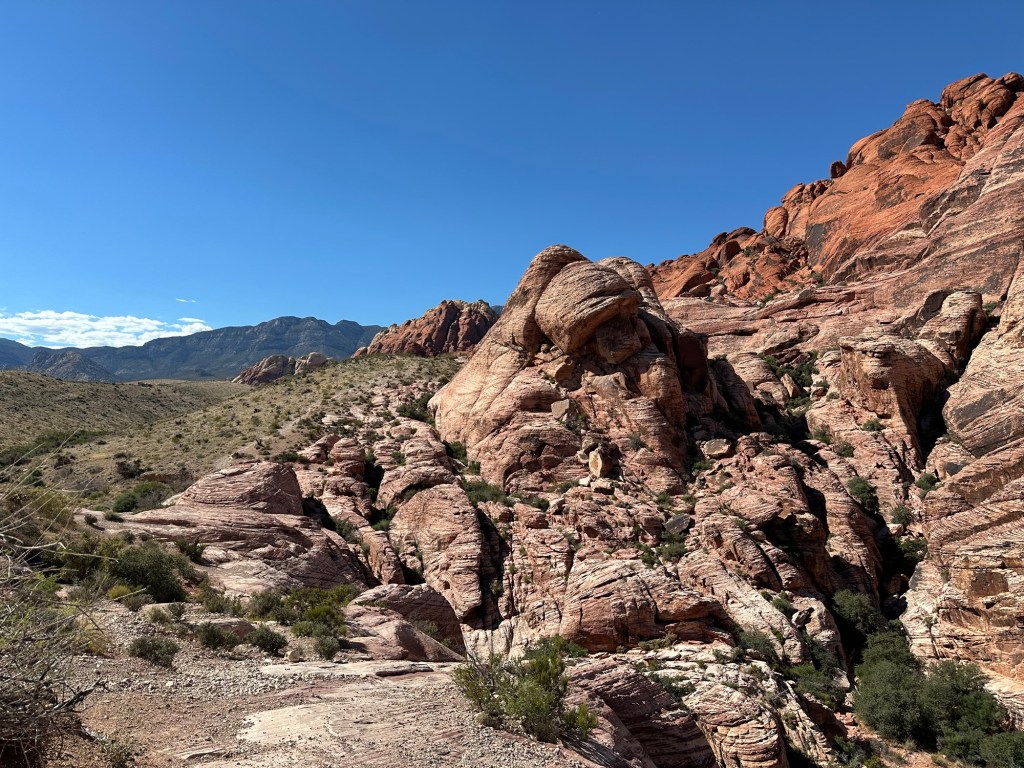Red Rock Canyon National Conservation Area in Las Vegas, Nevada. Picture by Happy Vegan Campers.