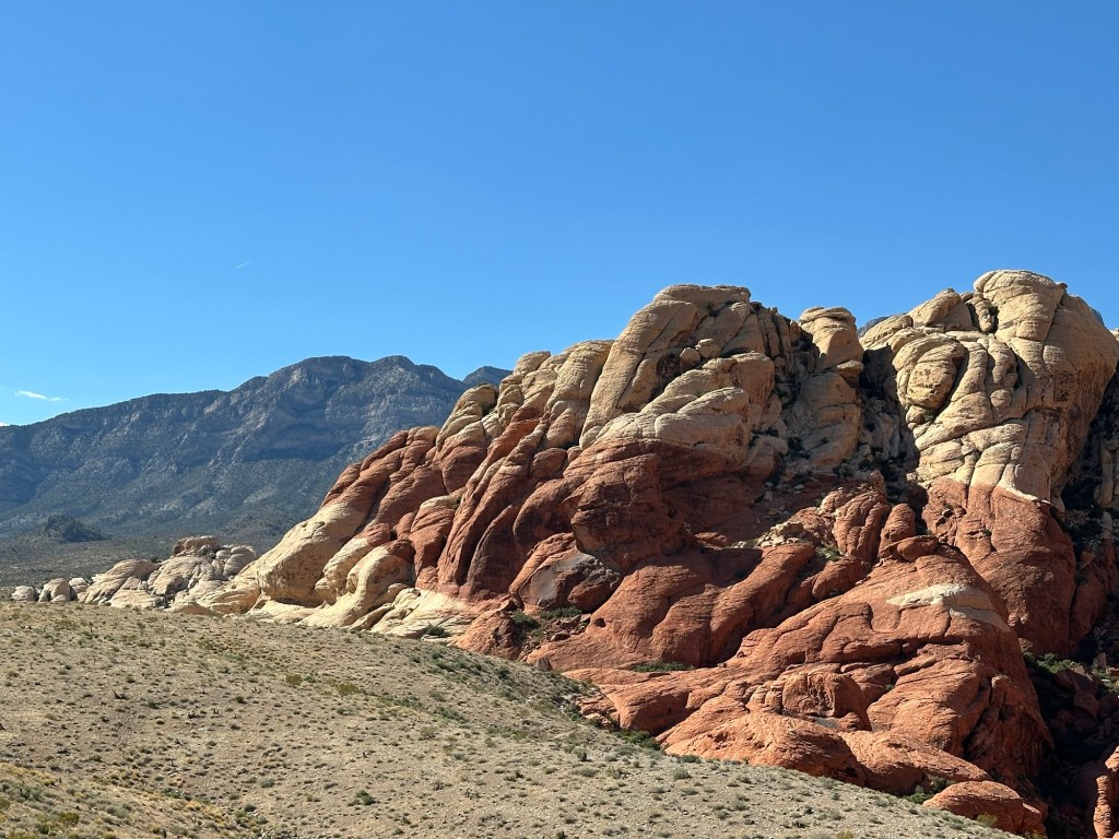 Red Rock Canyon National Conservation Area in Las Vegas, Nevada. Picture by Happy Vegan Campers.