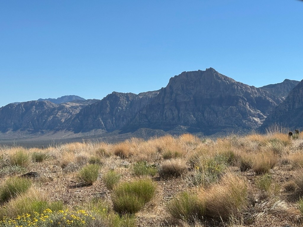 Red Rock Canyon National Conservation Area in Las Vegas, Nevada. Picture by Happy Vegan Campers.