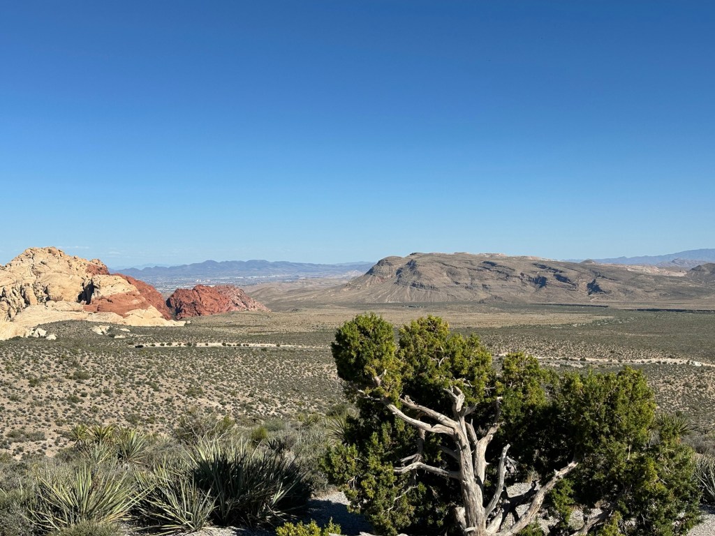 Red Rock Canyon National Conservation Area in Las Vegas, Nevada. Picture by Happy Vegan Campers.