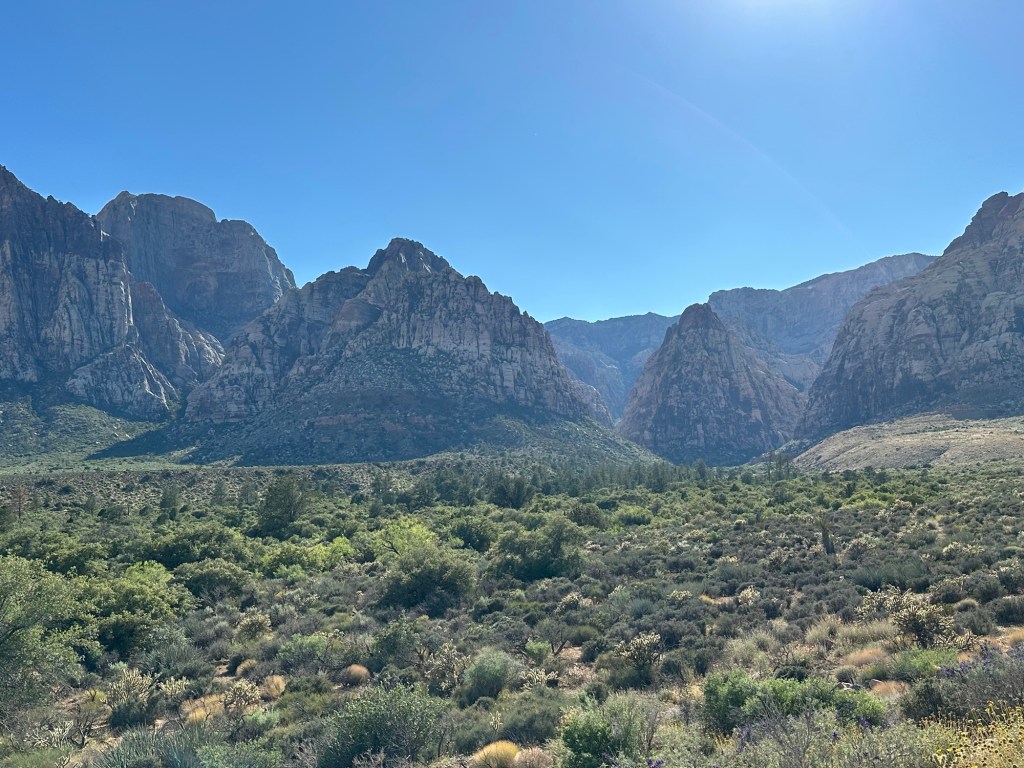 Red Rock Canyon National Conservation Area in Las Vegas, Nevada. Picture by Happy Vegan Campers.