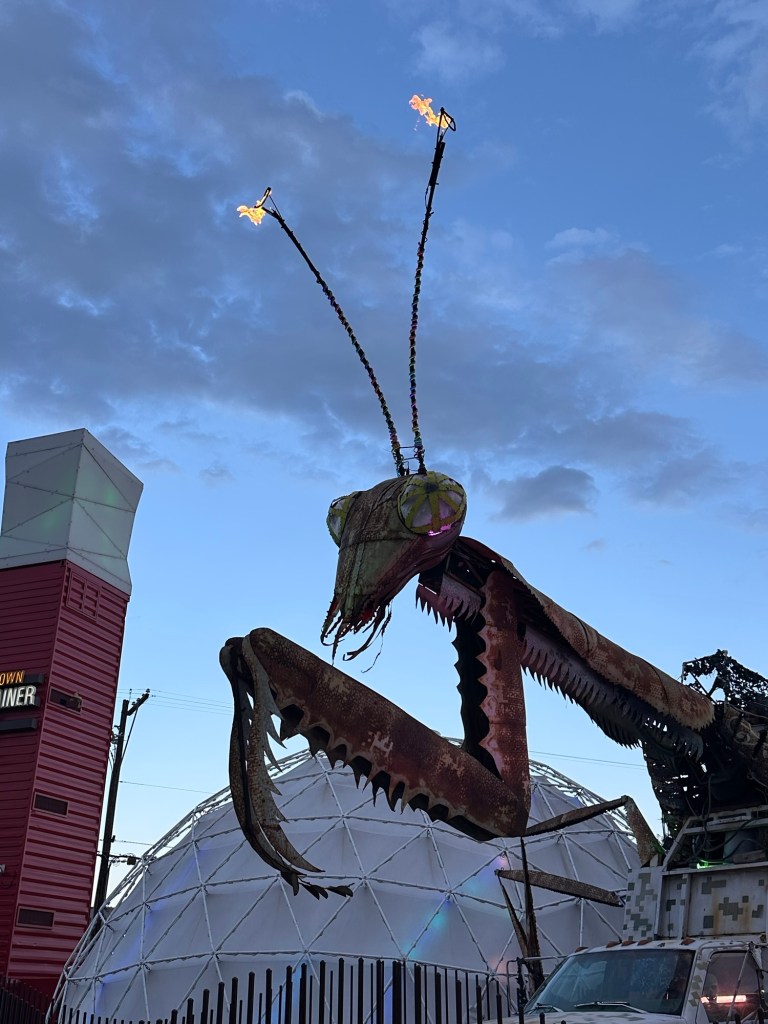 Praying Mantis at Downtown Container Park in Las Vegas, Nevada. Picture by Happy Vegan Campers.