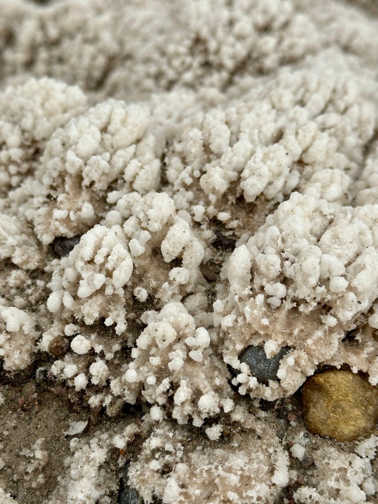 Devil's Golf Course at Death Valley National Park, California. Picture by Happy Vegan Campers.