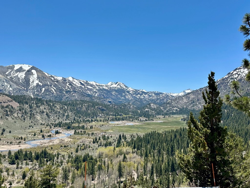 Stanislaus National Forest in California. Picture by Happy Vegan Campers.